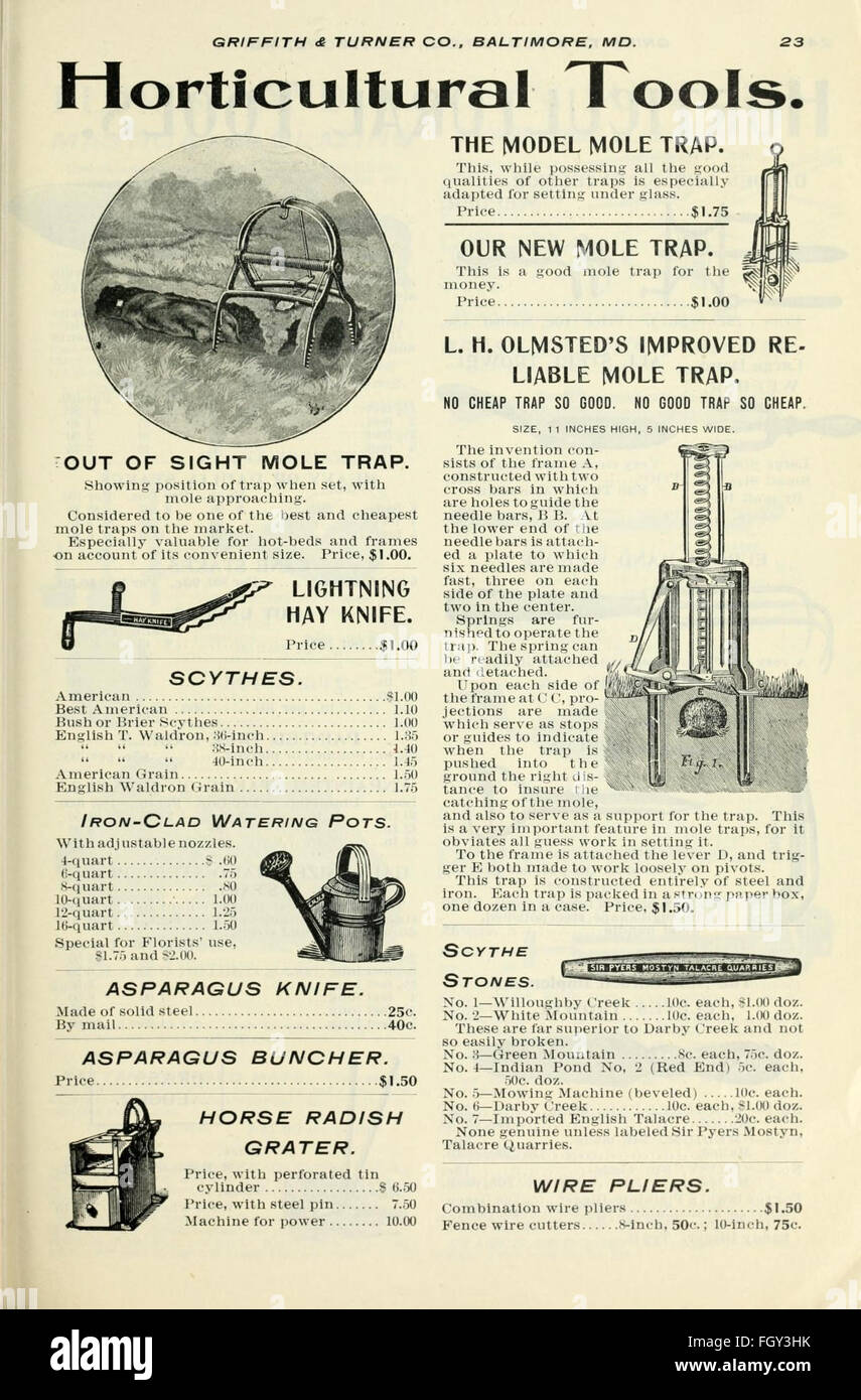 This catalog focuses on a variety of bulbs and seeds for both seasonal