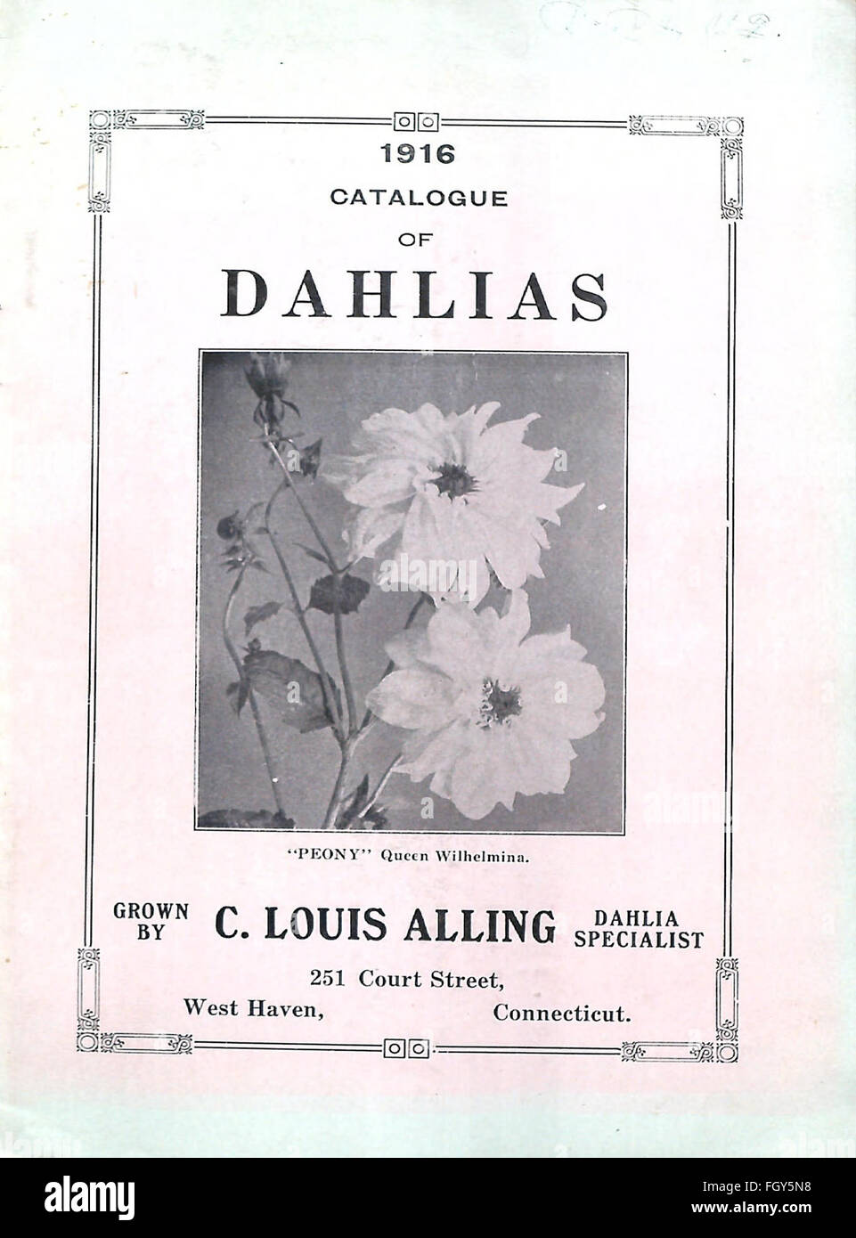 Catalogue of dahlias Stock Photo Alamy