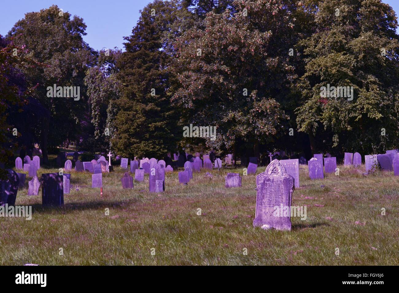 Purple Headstones High Resolution Stock Photography and Images - Alamy
