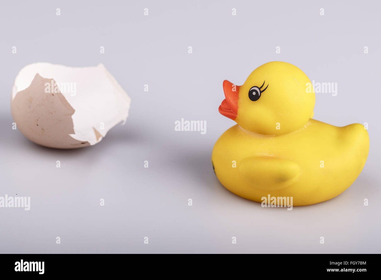 Beautiful yellow small plastic duck with egg isolated on a white background Stock Photo