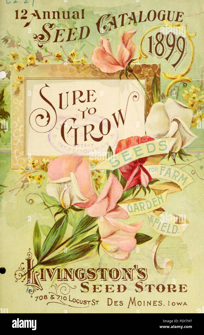 Illustration vintage historic old seed catalogue hires stock