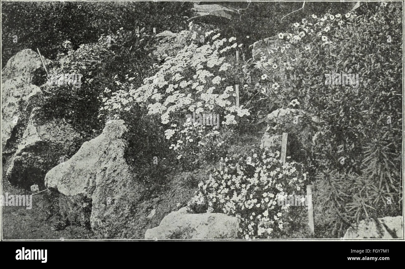 Currie's farm and garden annual - spring 1930 (1930) Stock Photo