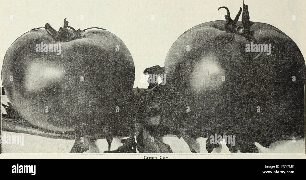 Currie's farm and garden annual - spring 1930 (1930) Stock Photo