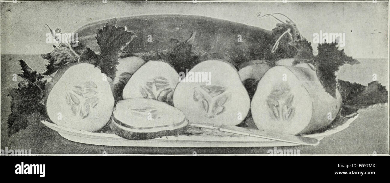 Currie's farm and garden annual - spring 1930 (1930) Stock Photo