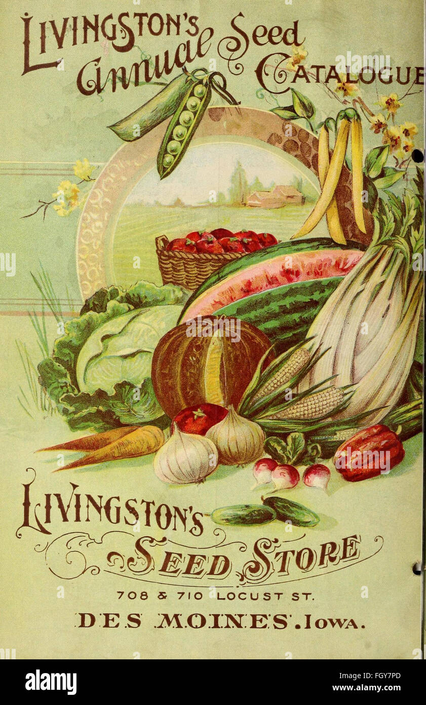 Illustration vintage historic old seed catalogue hires stock