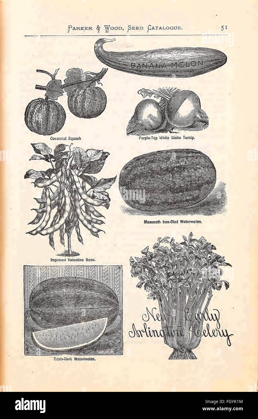Annual illustrated, descriptive catalogue of seeds, plants, vines, small fruits Stock Photo
