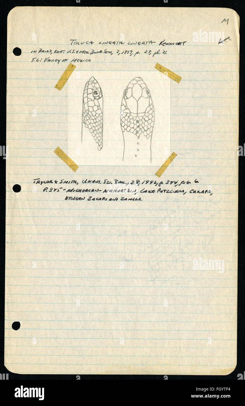 High Resolution Map of Taxco