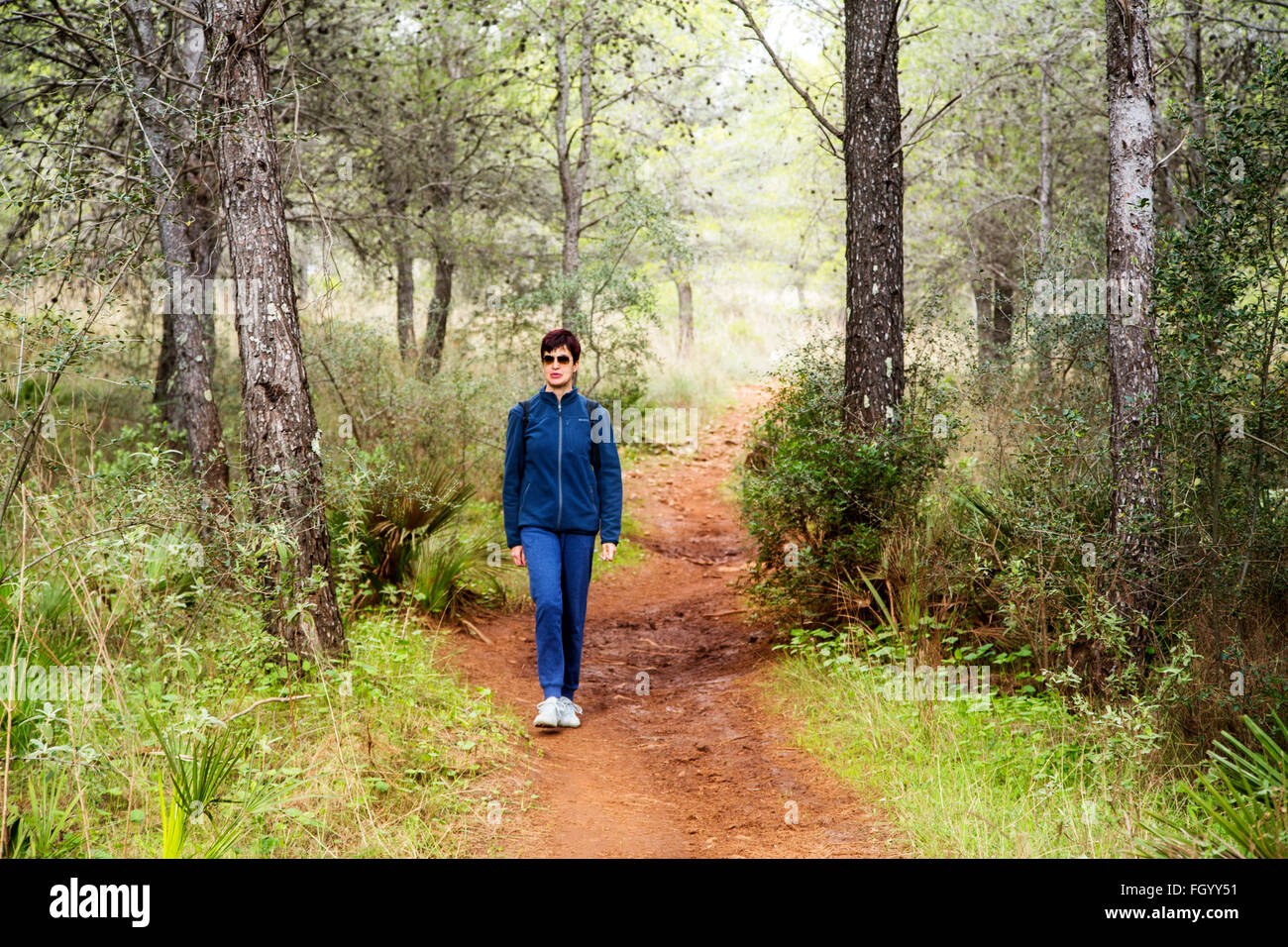 Woman walking along a forest track Mijas Mountains, Malaga province Costa del Sol. Andalusia, southern Spain Stock Photo