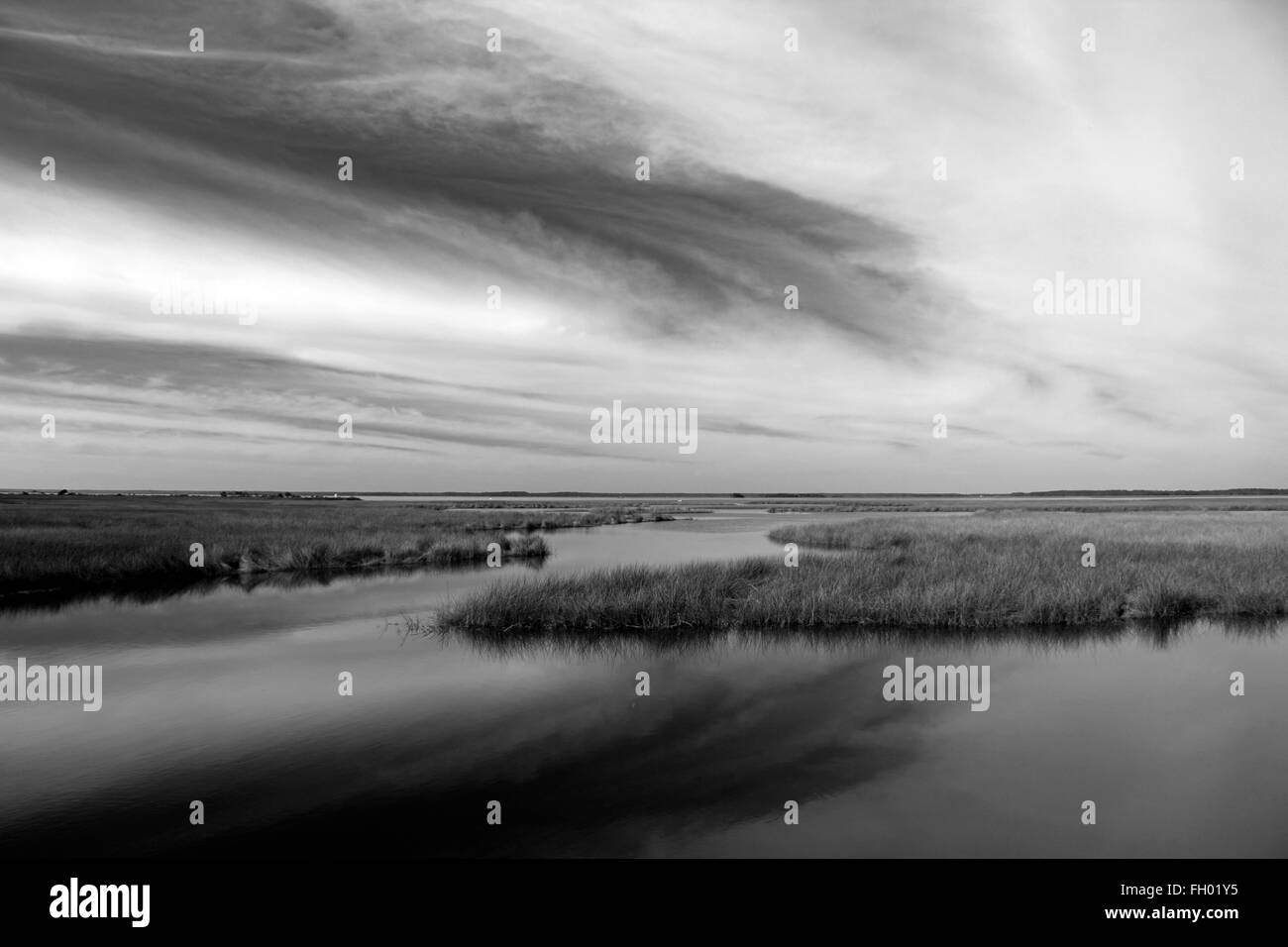 Scenic Landscape in Florida's St. Marks National Wildlife Refuge Stock Photo