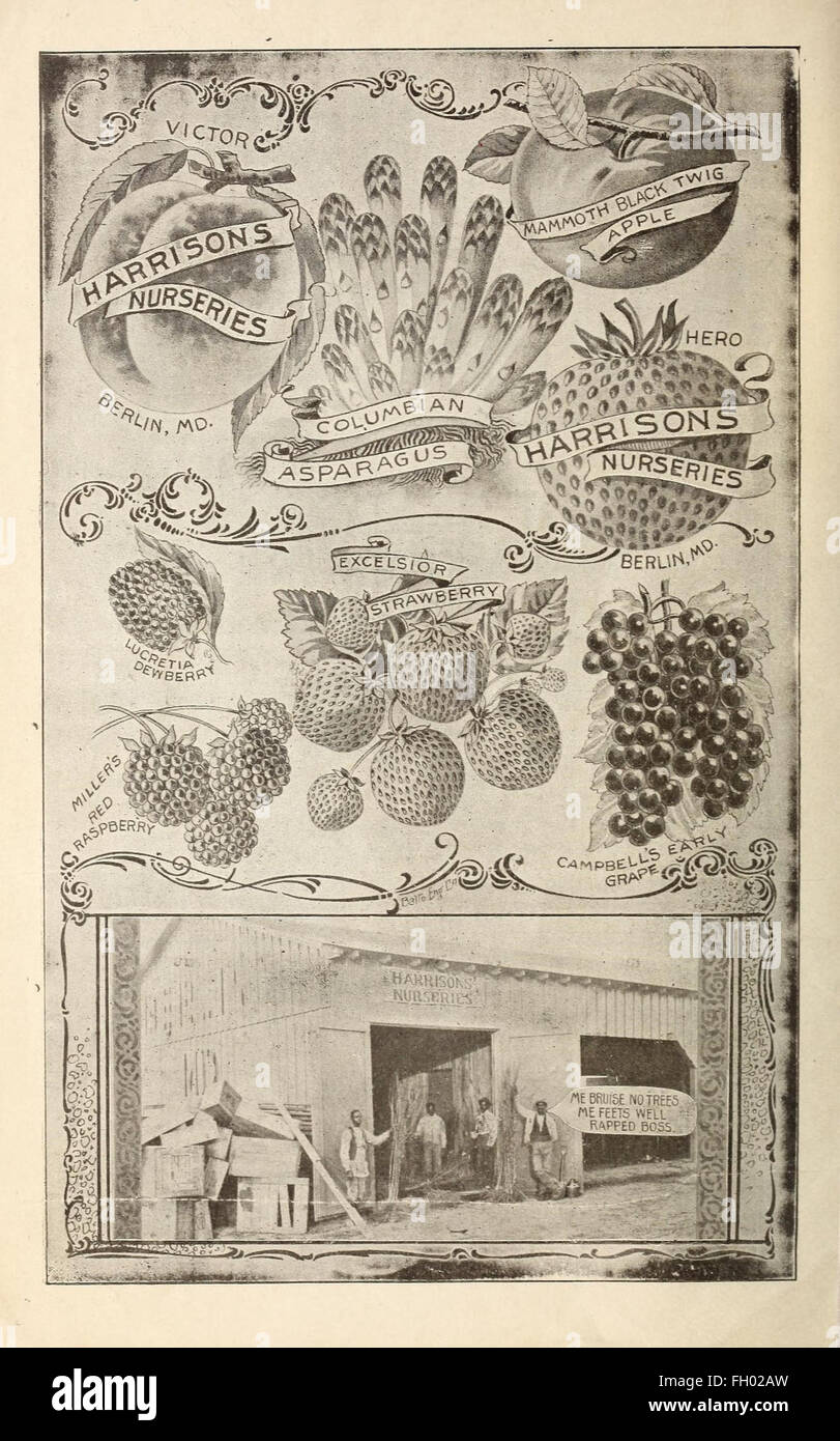 J.G. Harrison and Sons nurseries Stock Photo Alamy