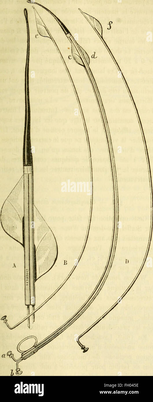 Aufranc Gouges This French-language work provides a detailed description and ...