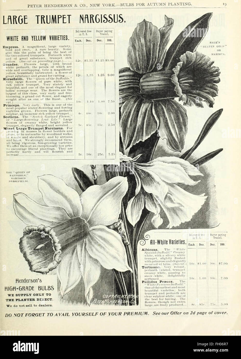 The Autumn Bulbs Catalogue features a variety of bulbs that can be