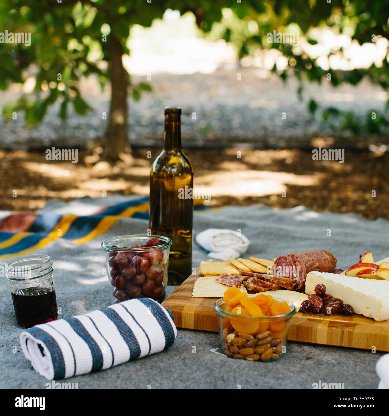 A picnic in California's central coast wine country, Santa Ynez. Stock Photo