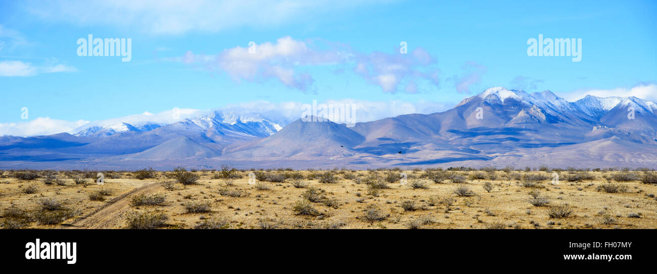 Wandering Through The Desert High Resolution Stock Photography and ...