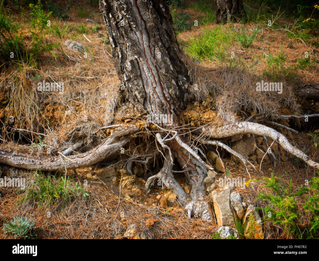 Spain wind contrast hi-res stock photography and images - Alamy