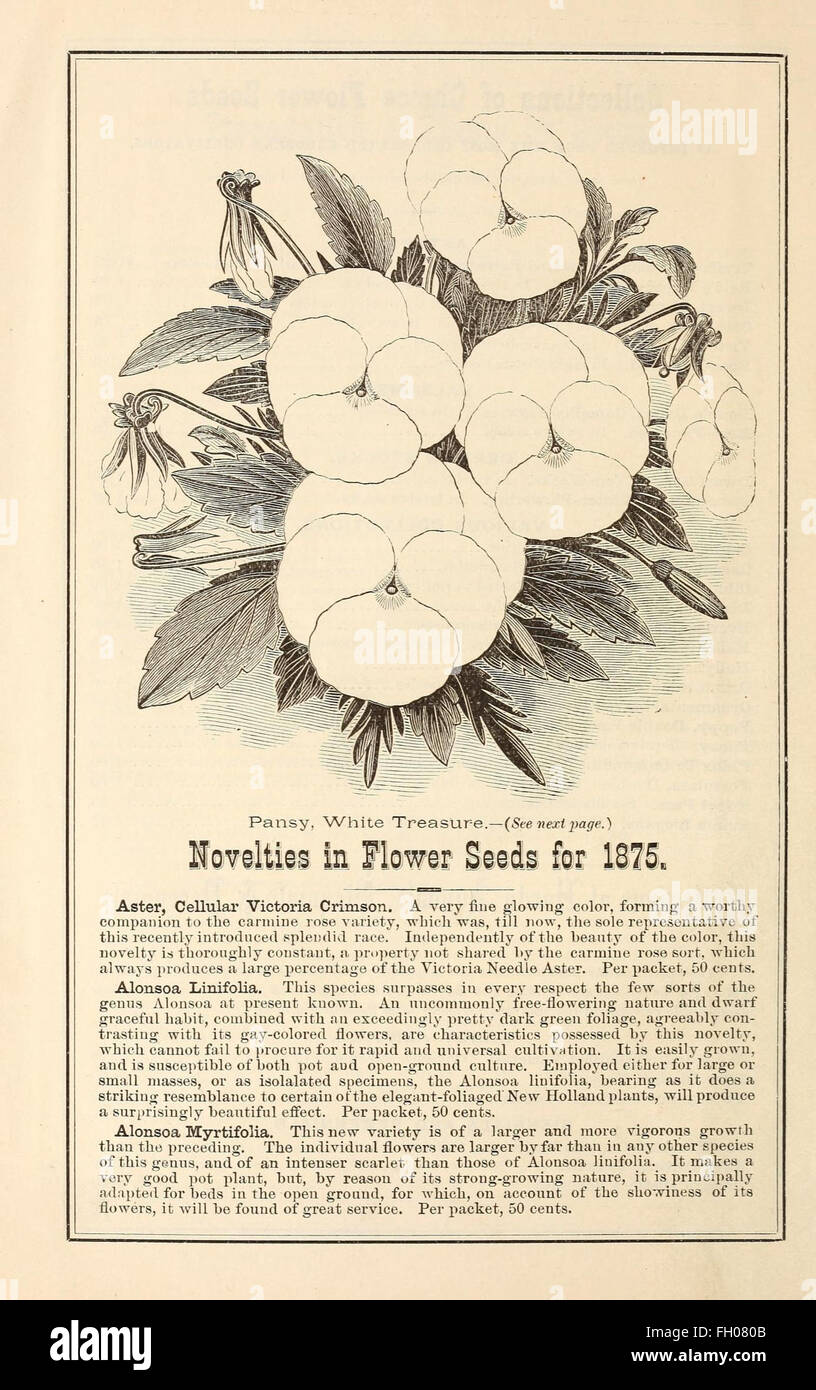 Illustration vintage historic old seed catalogue hires stock