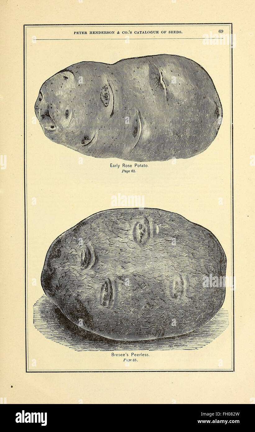 Peter Henderson and Co's seed catalogue Stock Photo Alamy