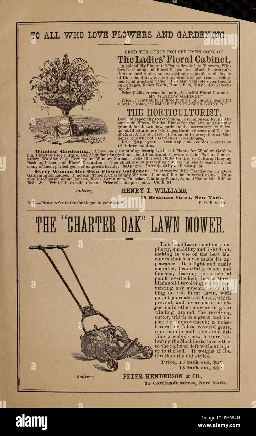 Illustration vintage historic old seed catalogue hires stock