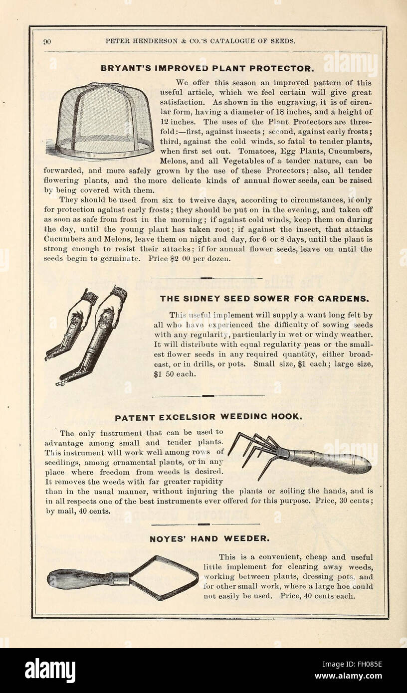 Seed catalogue illustration hires stock photography and images Alamy