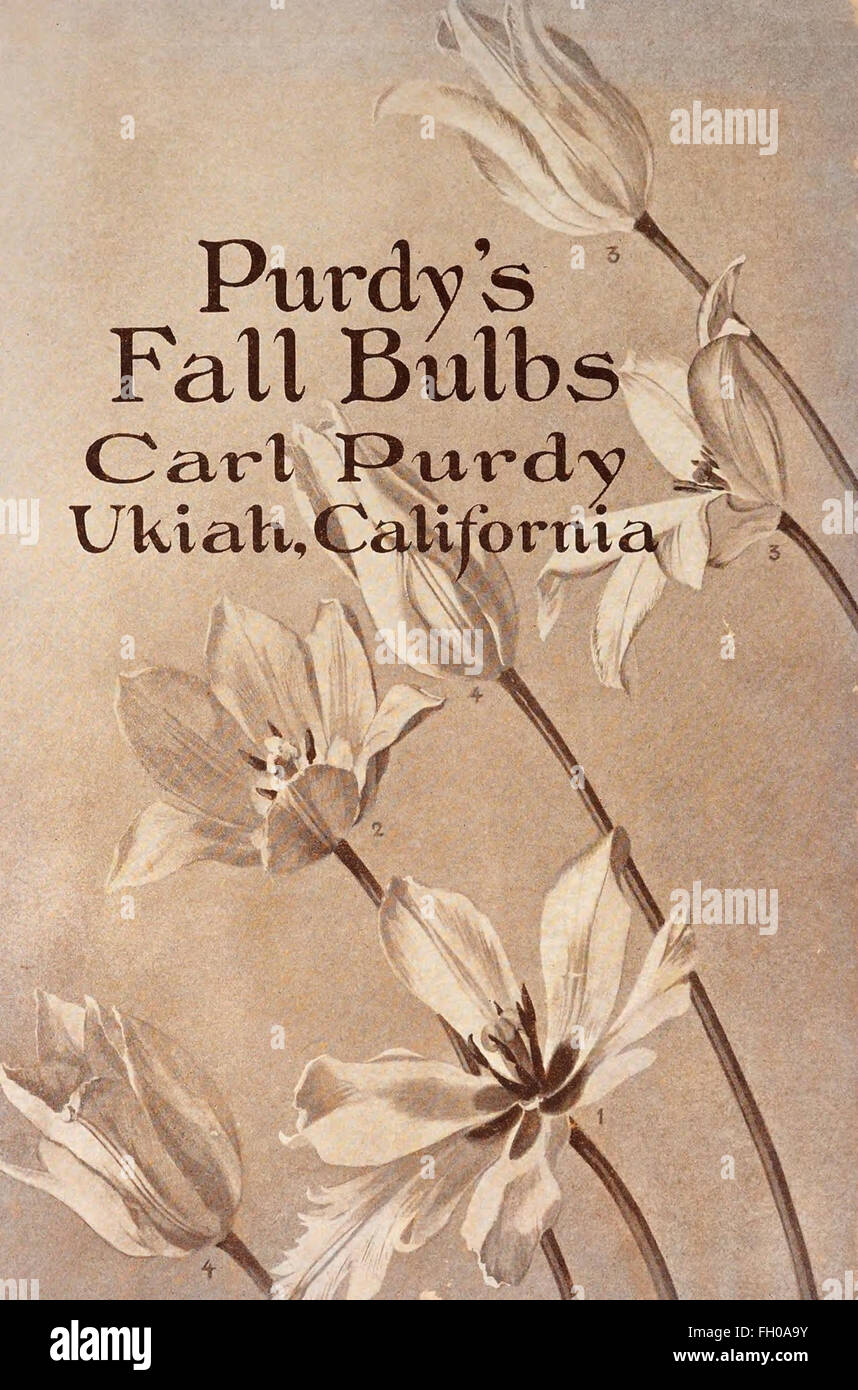 Retail price list of california bulbs hi-res stock photography and ...