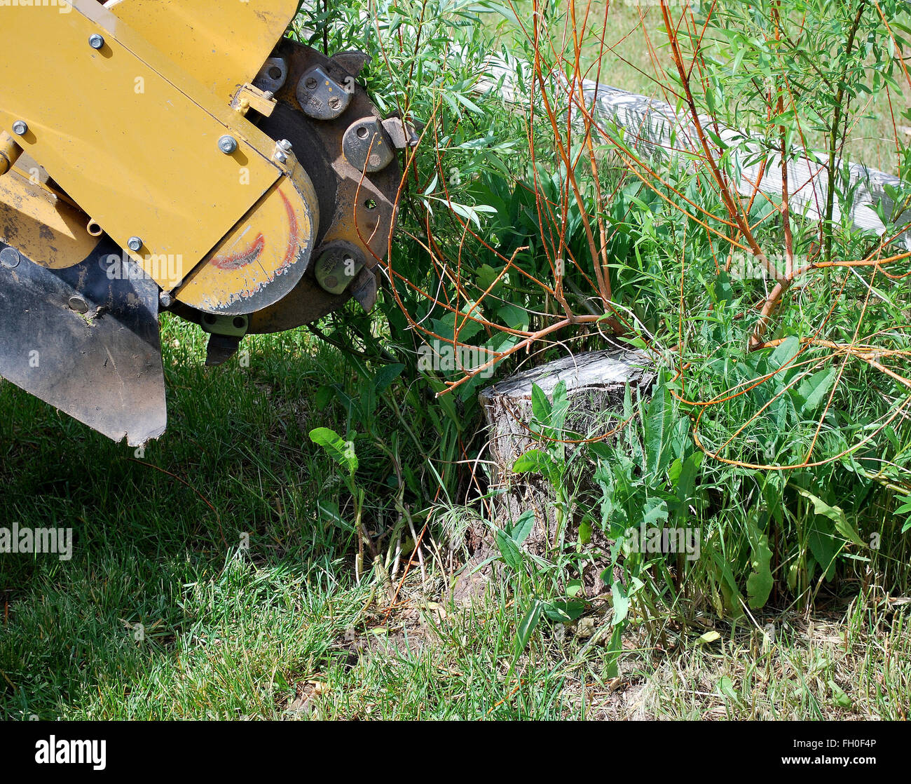 Stump work hires stock photography and images Alamy