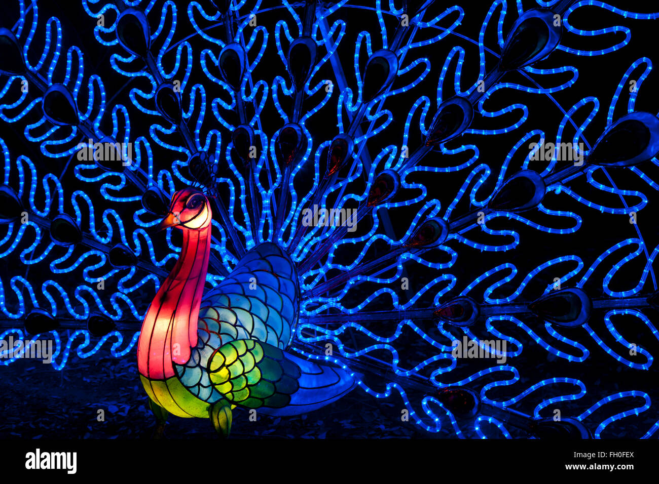 The Magical Lantern Festival Chiswick Park, Burlington Lane, Chiswick