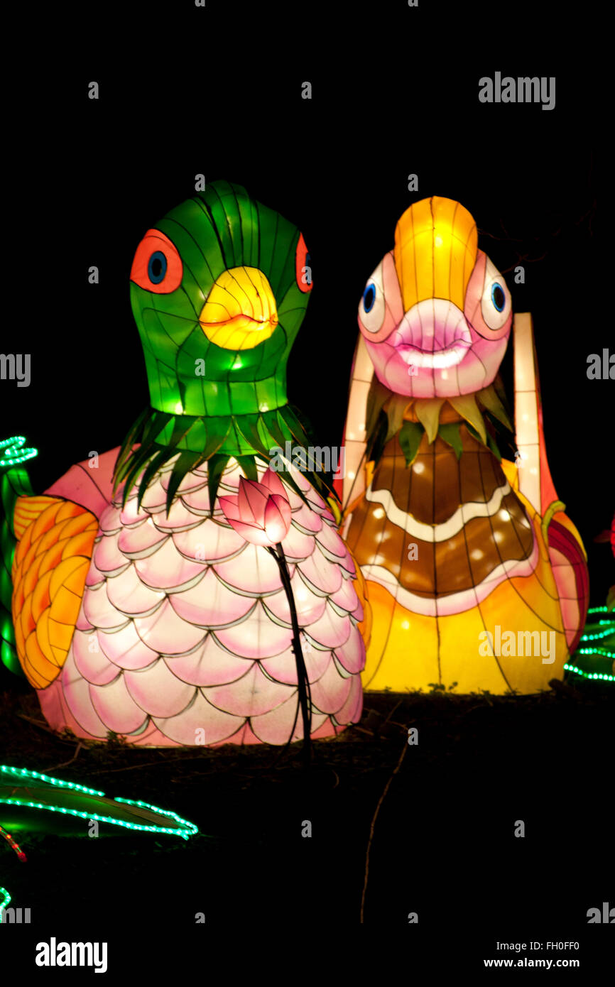 The Magical Lantern Festival Chiswick Park, Burlington Lane, Chiswick