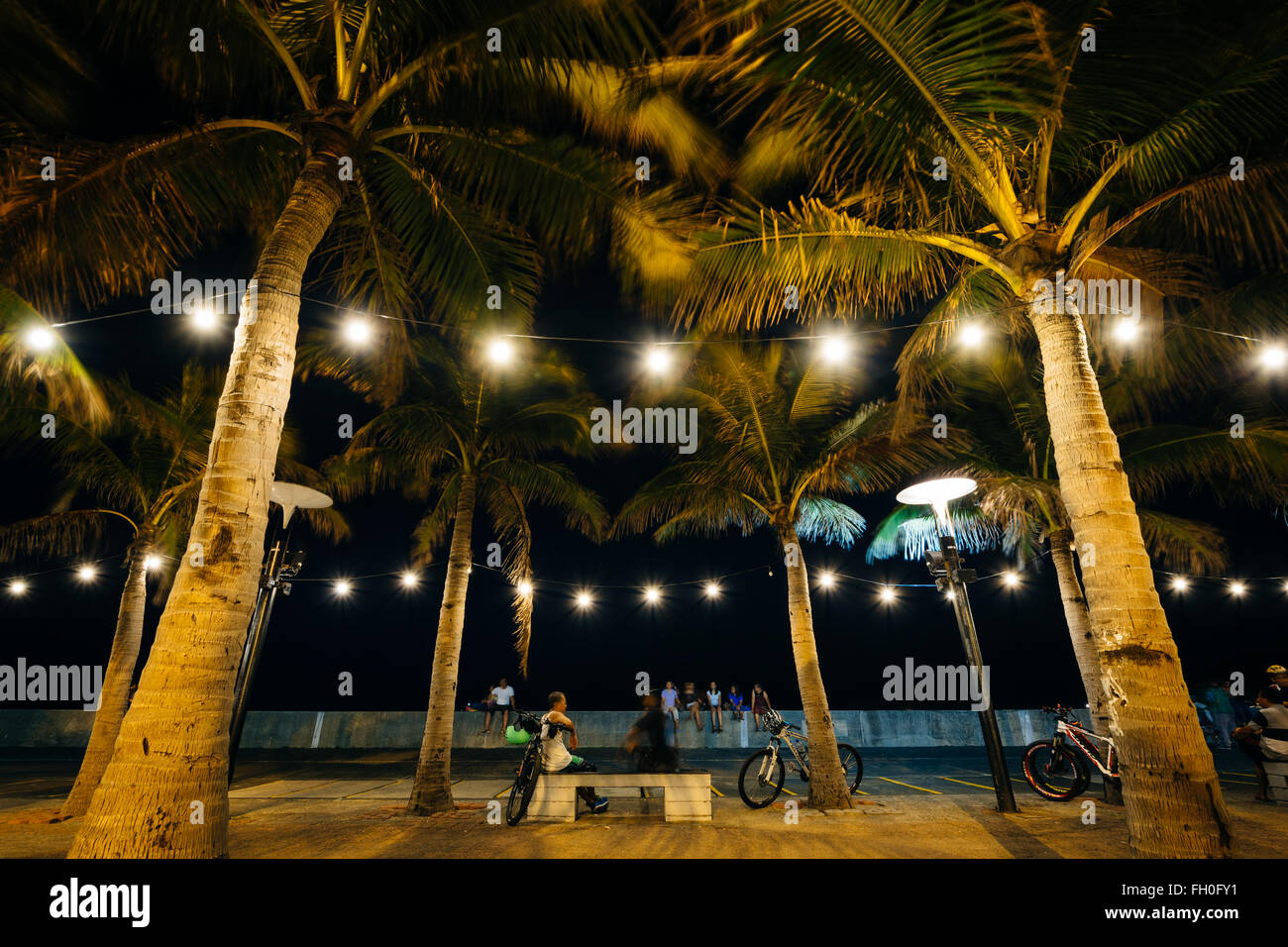 Palm trees at night, in Pasay, Metro Manila, The Philippines. Stock Photo