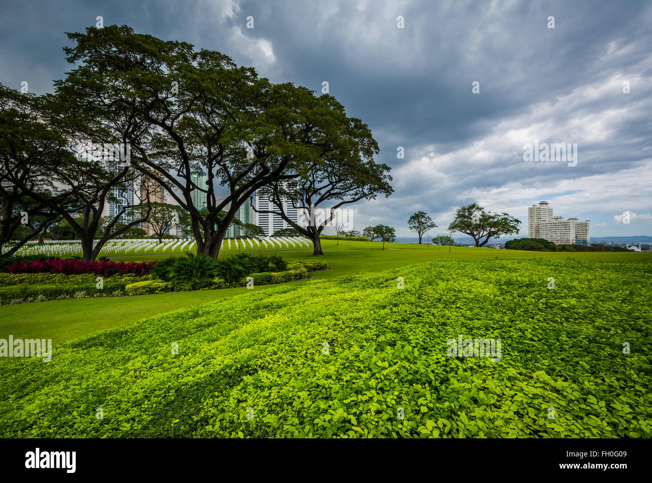 Gardens and trees at the Manila American Cemetery & Memorial, in Taguig, Metro Manila, The Philippines. Stock Photo
