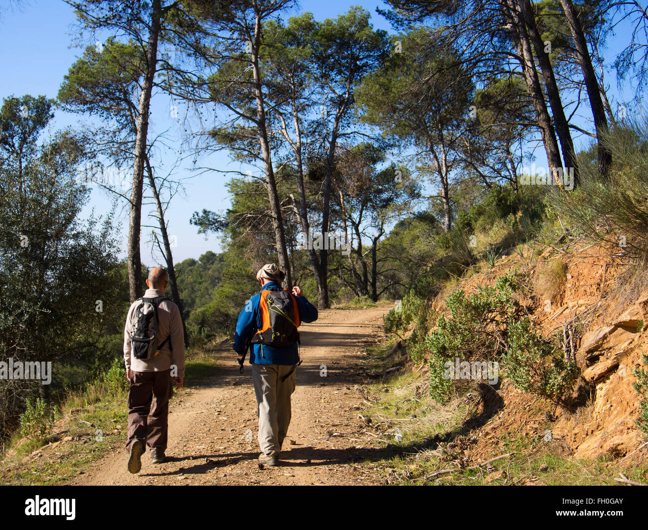 Hiking, Montes de Malaga forest, Costa del Sol. Andalusia southern Spain Stock Photo