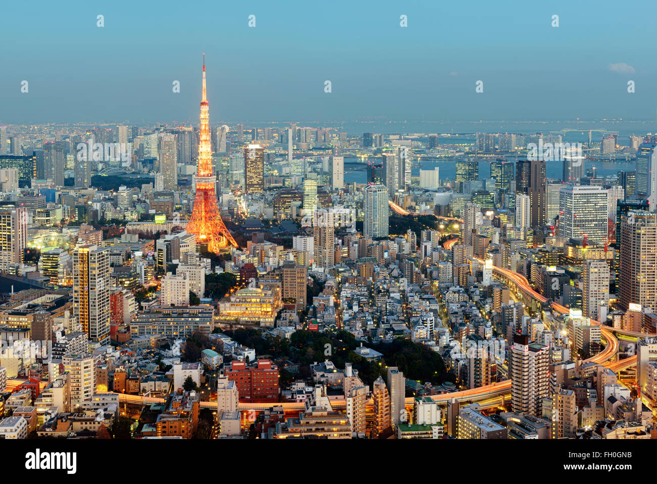 Tokyo; Japan -January 14; 2016: Night view of Tokyo Skyline with the iconic Tokyo Tower in the background. Stock Photo