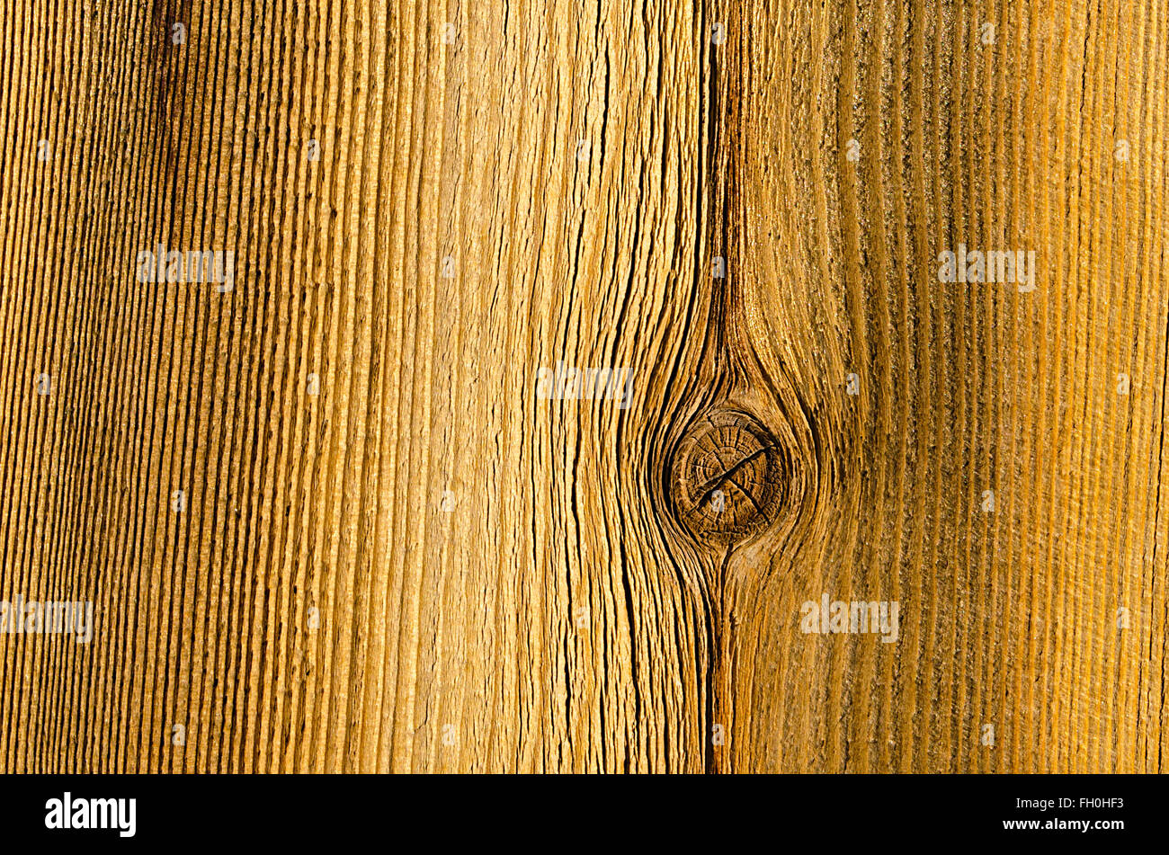 Coarse pine hires stock photography and images Alamy