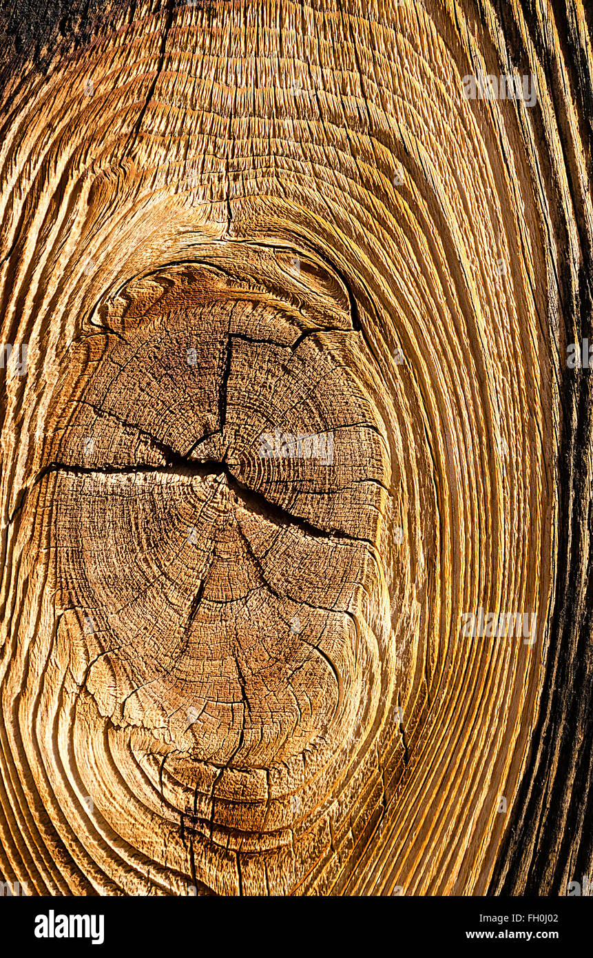 Old weathered wood plank with coarse grain pattern and knot Stock Photo