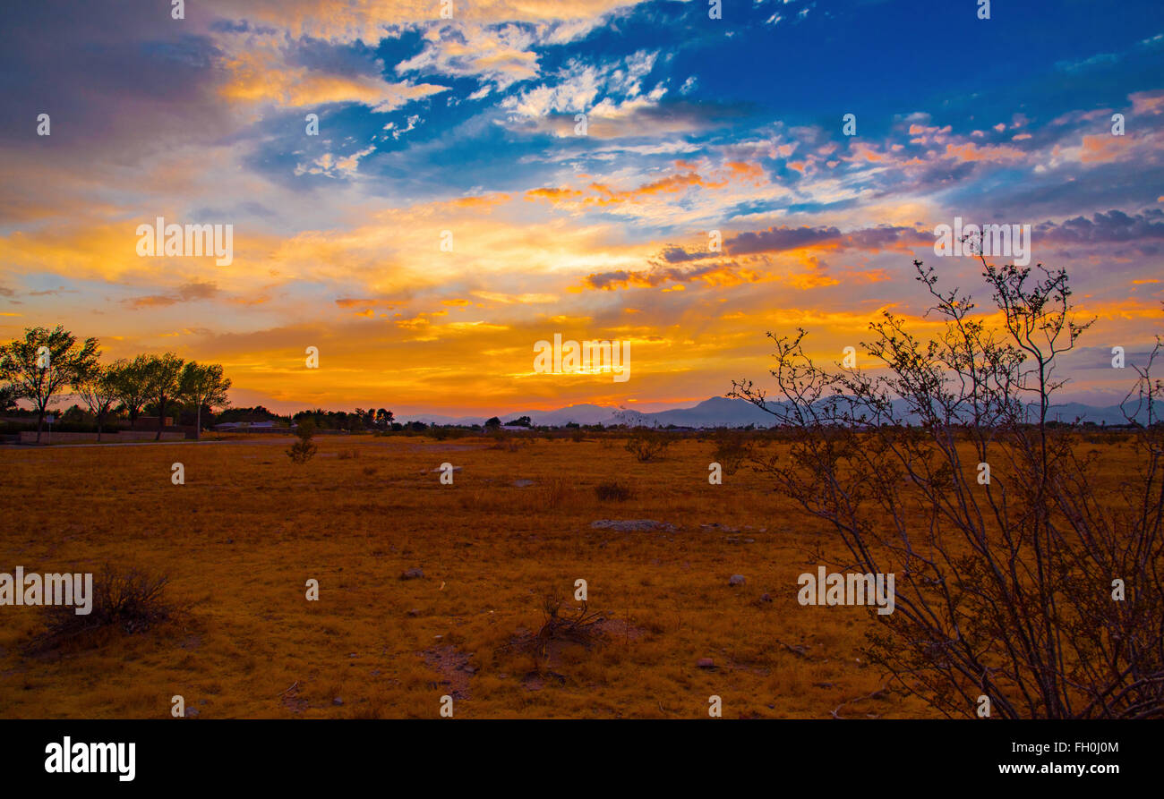 Desert sunset with blue sky bright orange clouds over a golden grass. Stock Photo