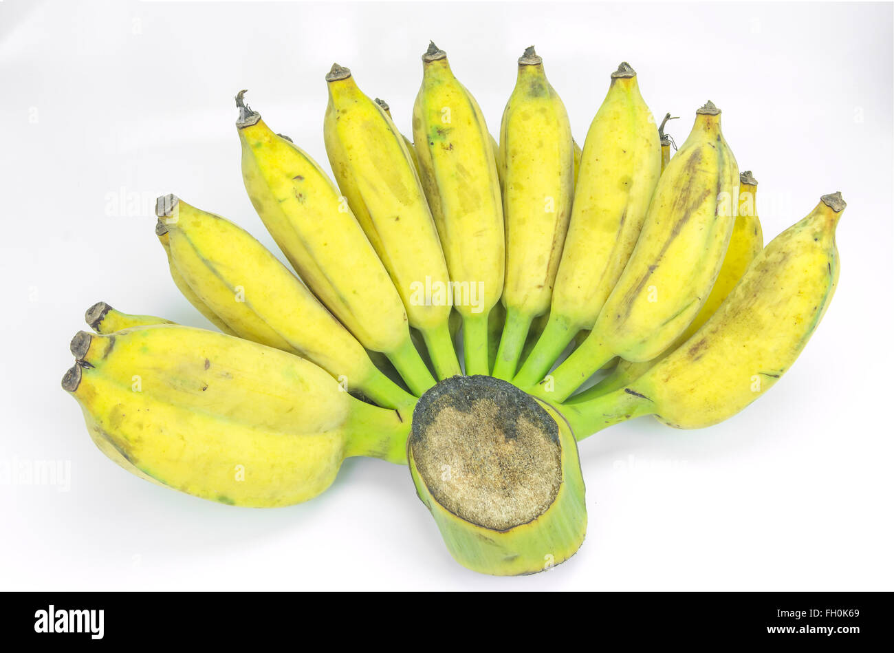 Hammomda uy qurilishi jinsiy aloqa video