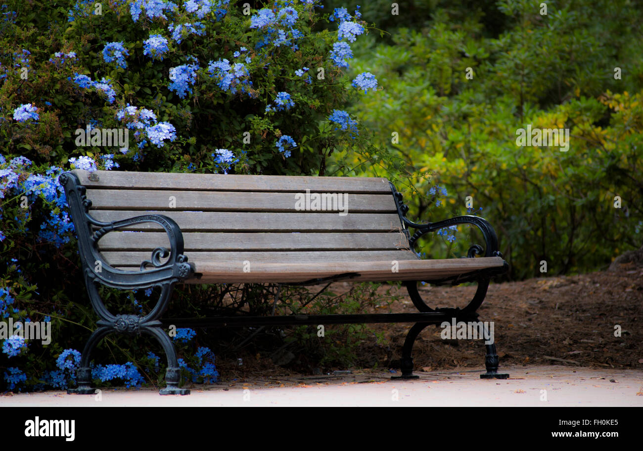 Beautiful Garden Bench Stock Photos Beautiful Garden Bench Stock