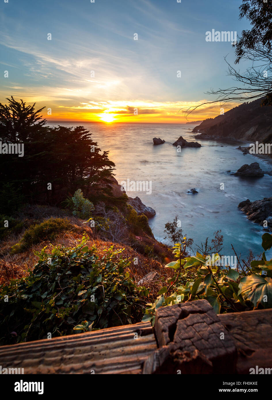 Colorful sunset and plants at Pfeiffer Big Sur State Park overlooking the Pacific coast Stock Photo