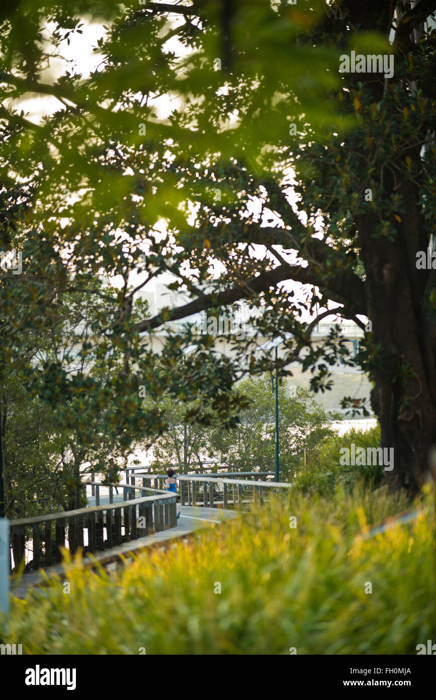 Brisbane River Boardwalk Australia Stock Photo Alamy