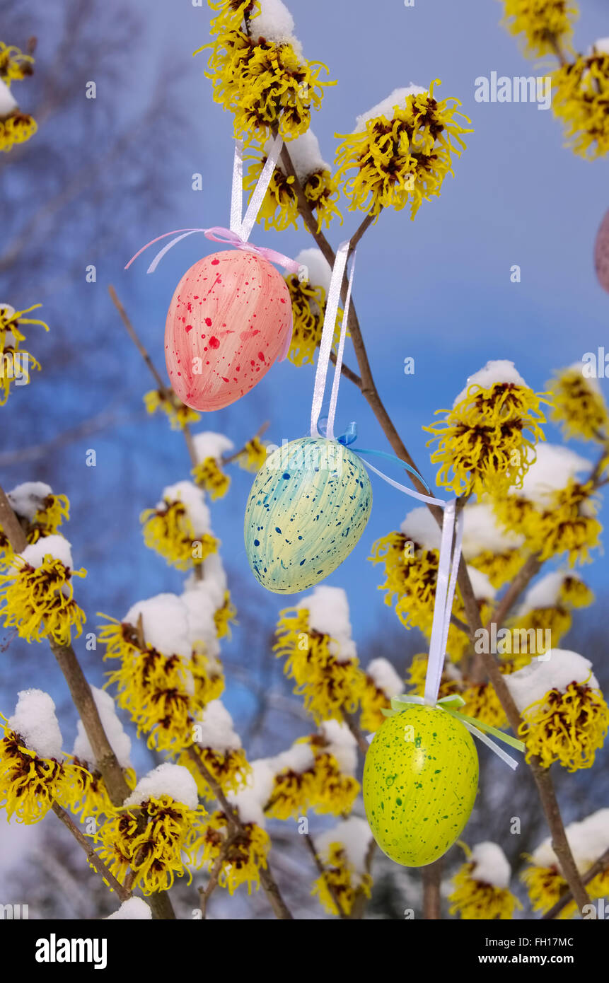 Osterstrauch garten hires stock photography and images Alamy