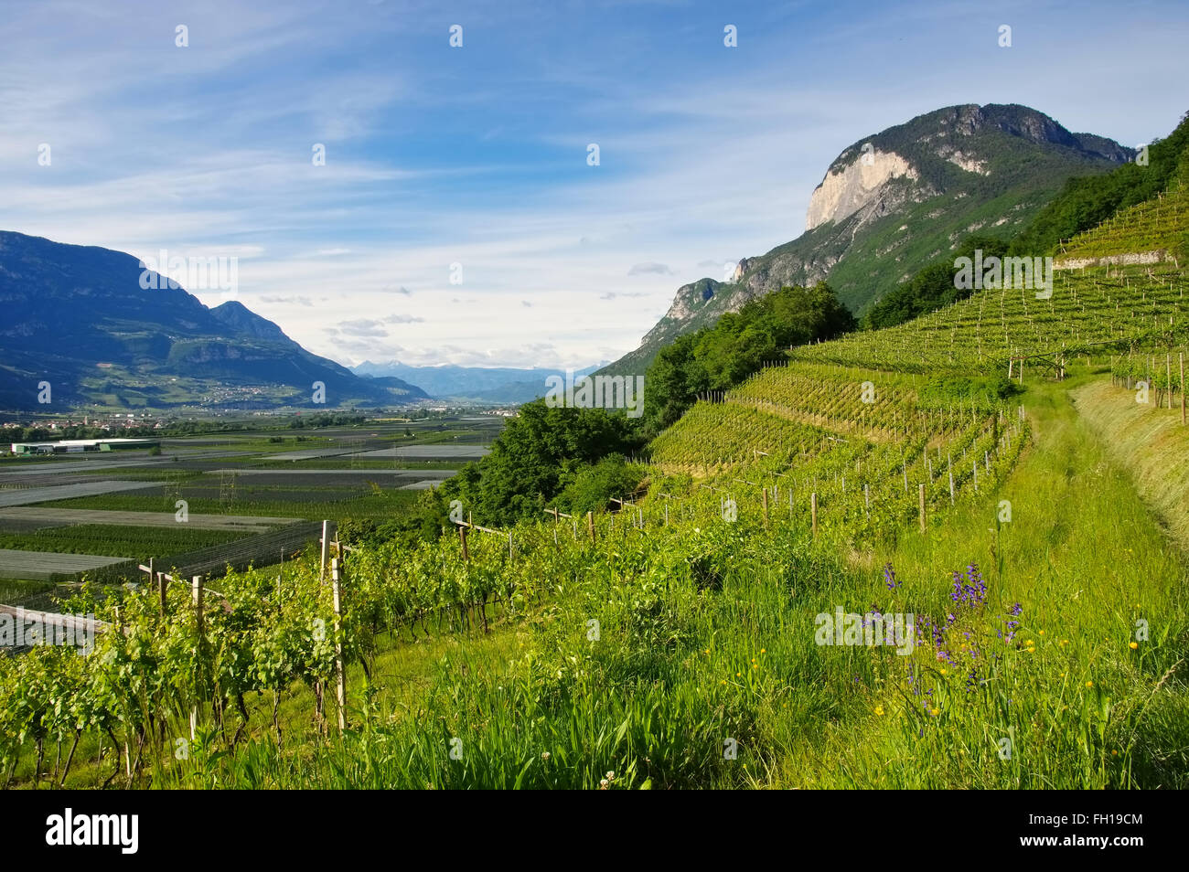 Trentino Landschaft in Italien - typical Trentino landscape in Italy Stock Photo