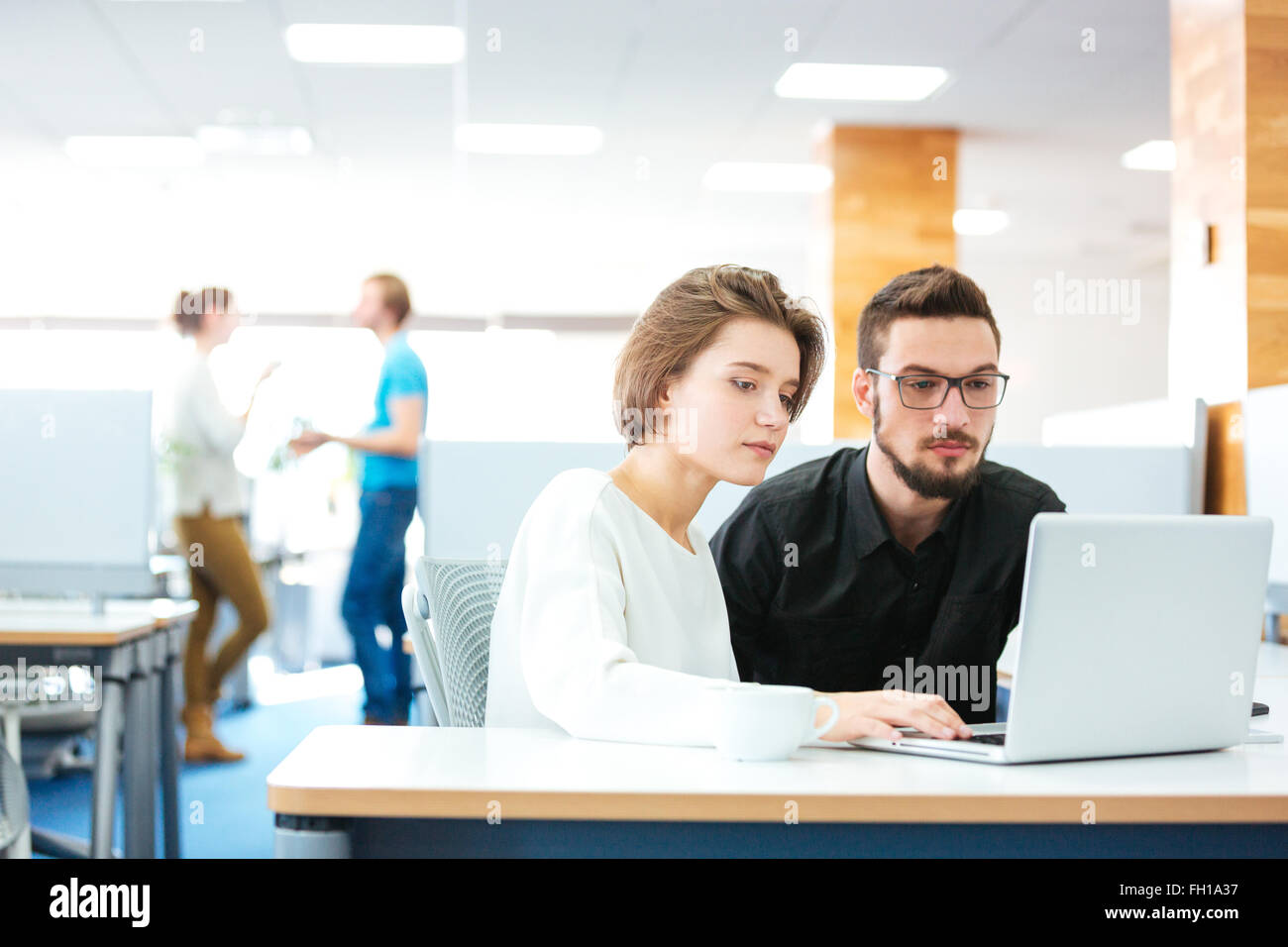Serious focused young man and woman sitting and working with laptop together in office Stock Photo