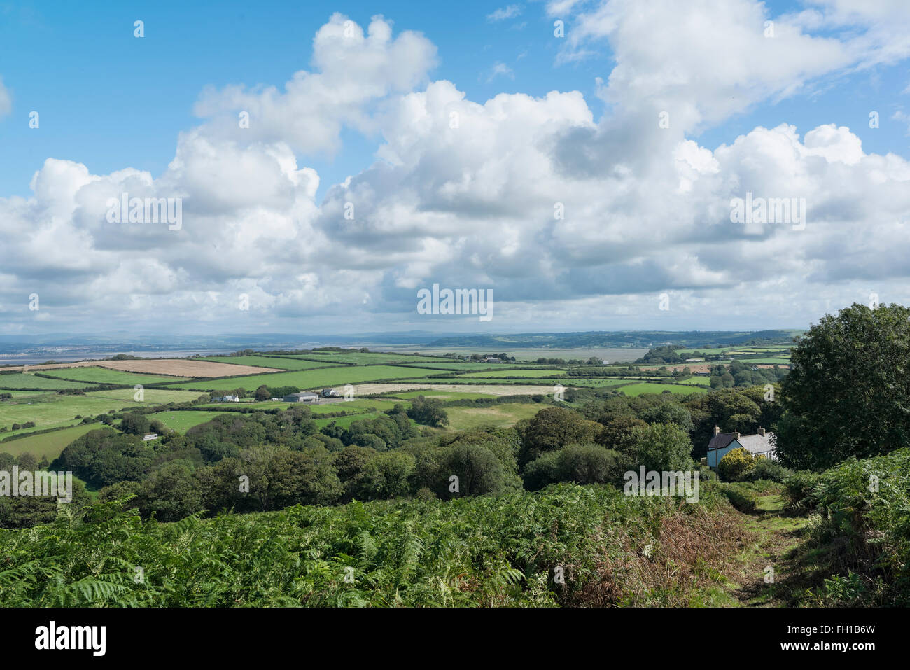 Country path down Llanmadoc Hill on The Gower peninsular. Stock Photo