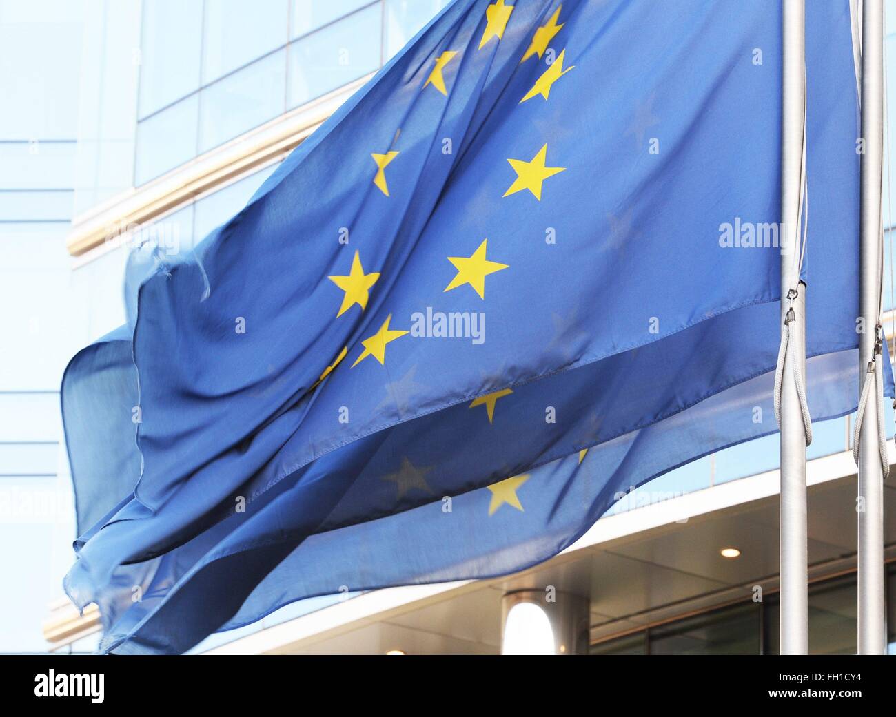 European flags in Brussels  ( Bruxelles) Jan. 8, 2016 Stock Photo