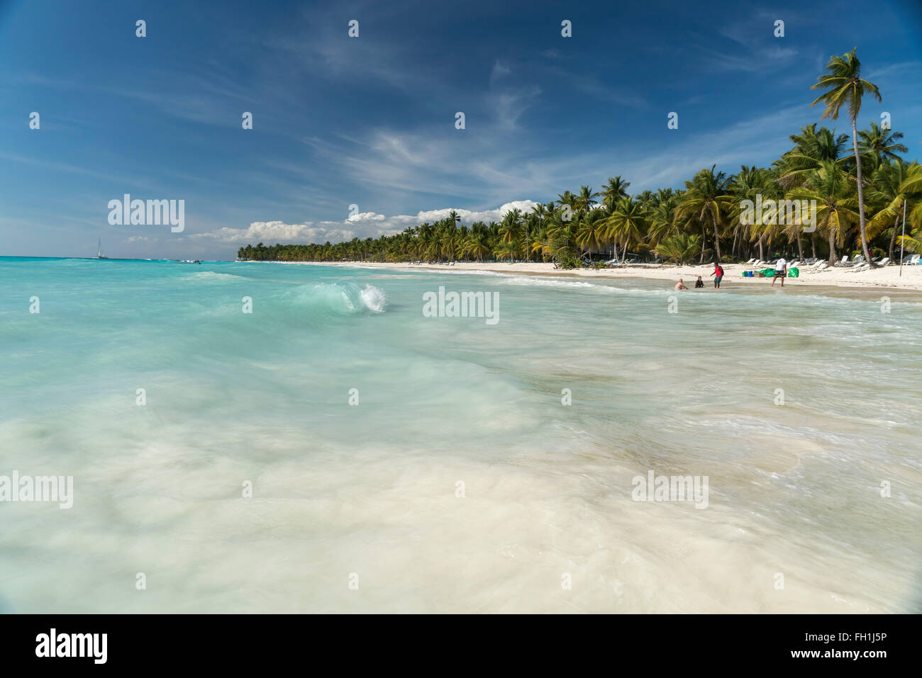 dream beach on the Caribbean Island Isla Saona, Dominican Republic ...