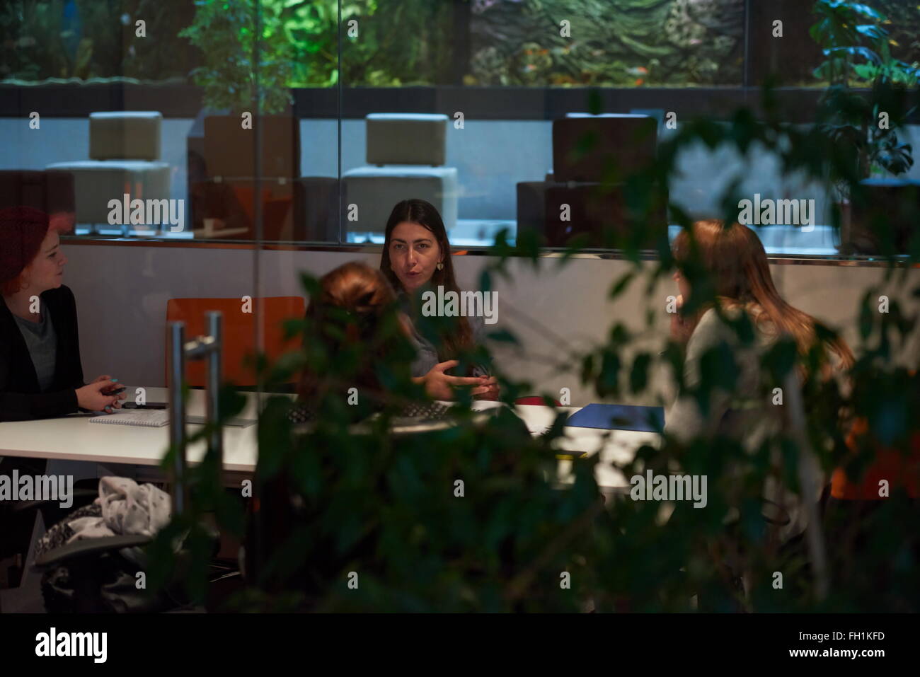 startup business people group at office Stock Photo - Alamy