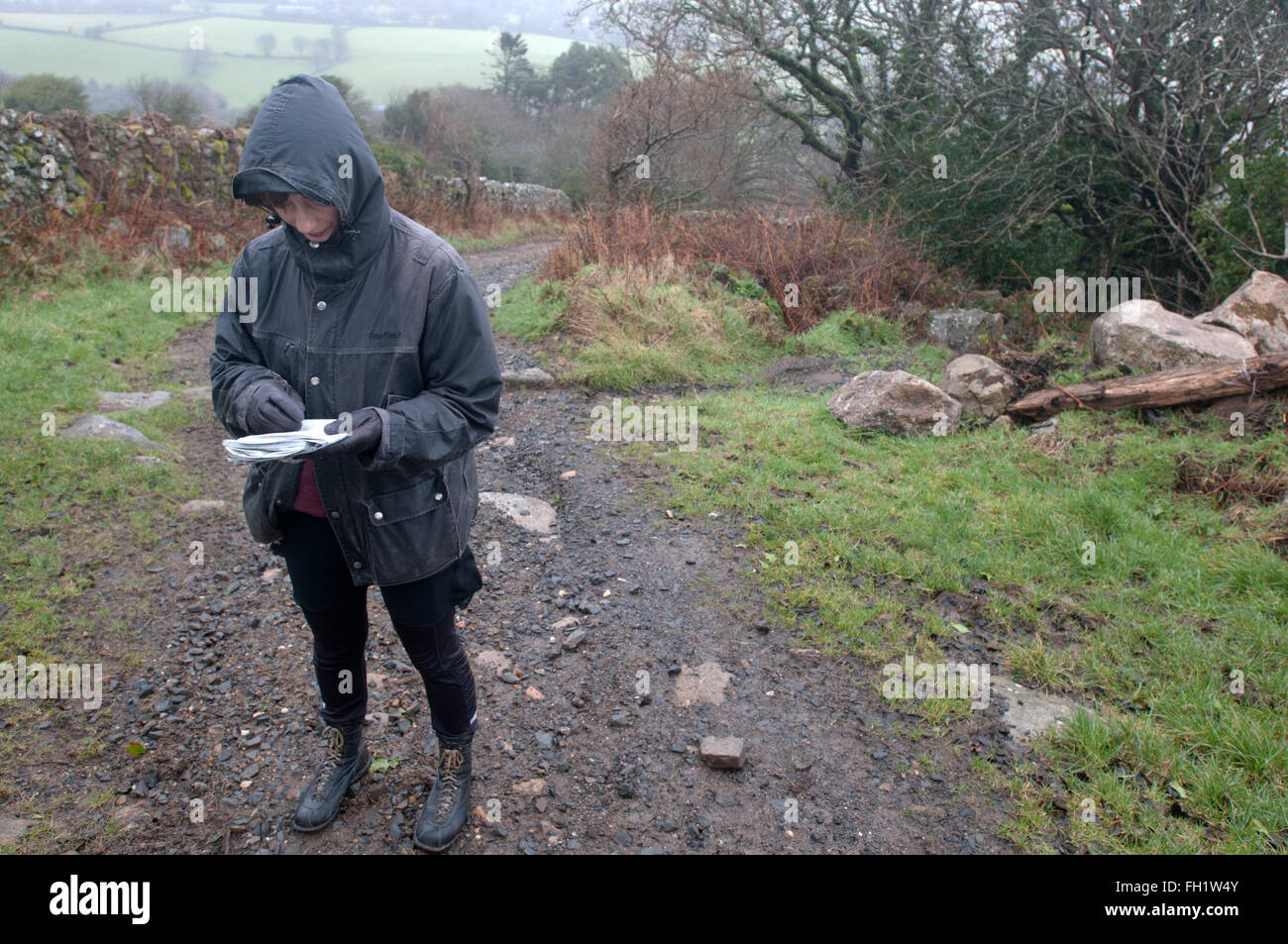 A woman reading an ordnance survey map on Dartmoor, UK Stock Photo
