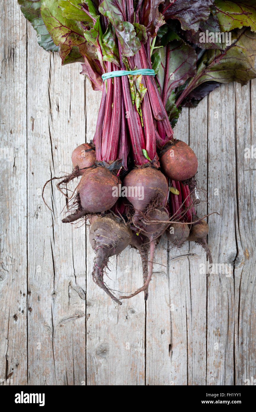 Red Turnips Stock Photo Alamy