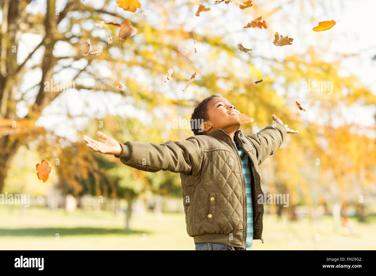 осень бросать листья. падающие осенние листья. падающие листья. а листочек с березки упал. человек смотрит на падающие листья.
