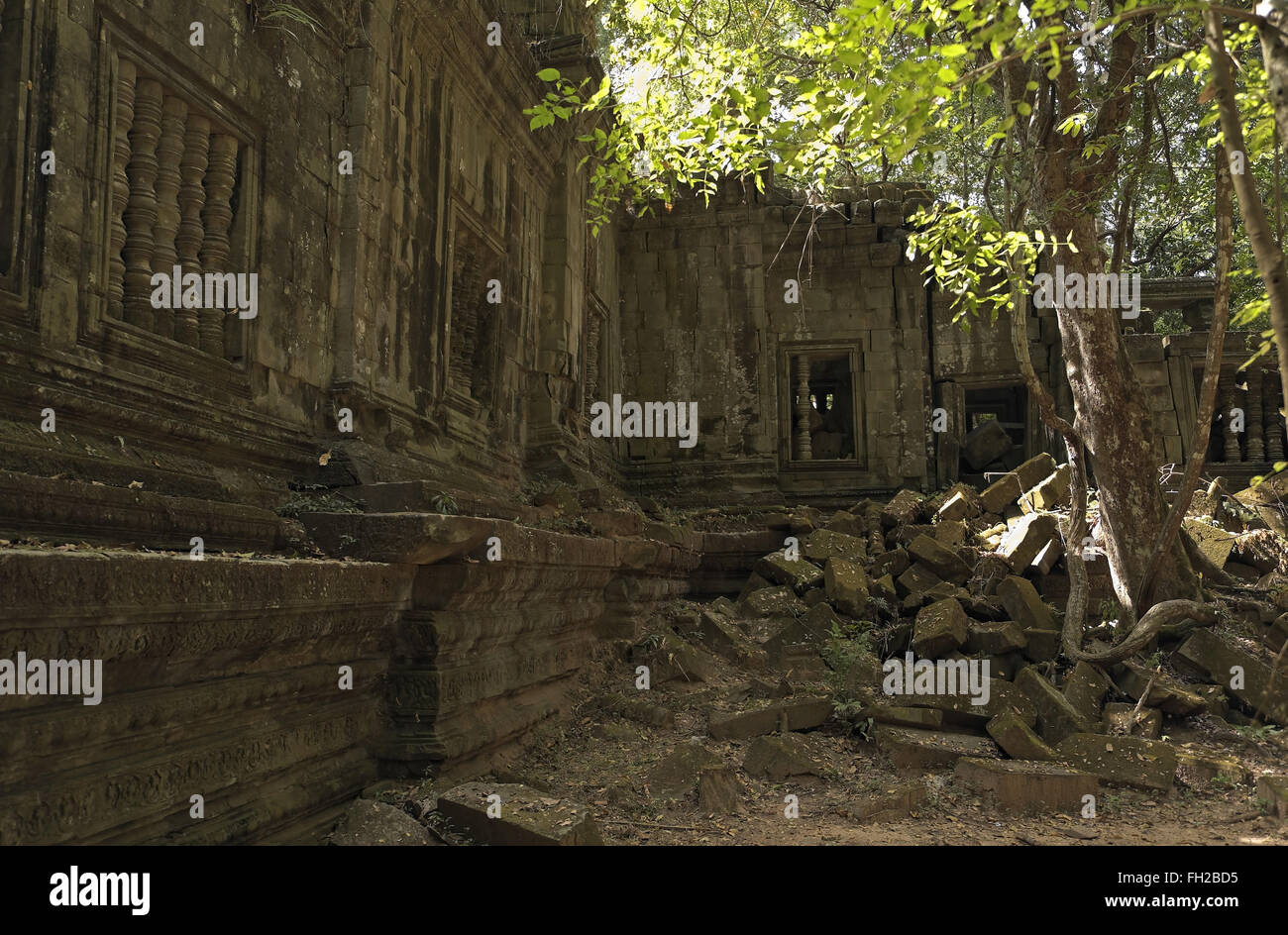 Pillared windows in a wall with trees growing out of the ruins, Beng Mealea (or Bung Mealea) temple, Cambodia, Asia. Stock Photo