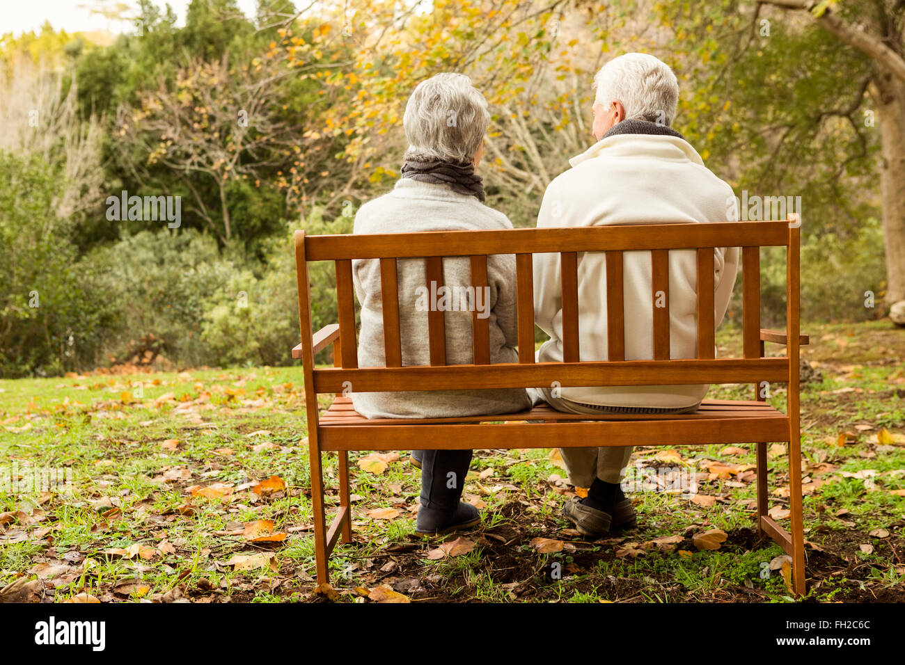 Senior couple in the park Stock Photo - Alamy